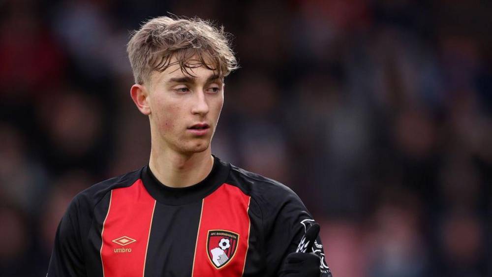 ديان هويسين