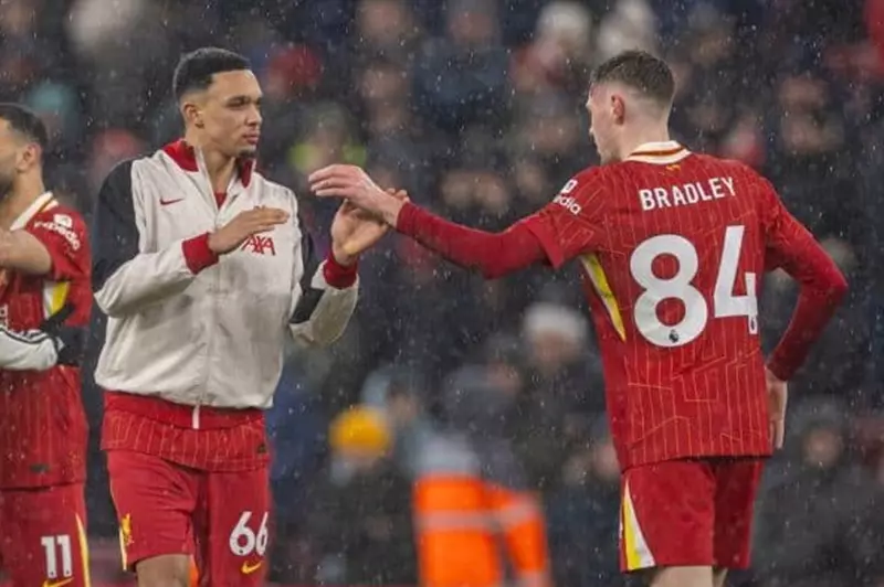 مع اقتراب رحيل أرنولد.. ليفربول يسعى لتأمين بديله بعقد طويل الأجل