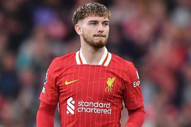 "يجب ألا ننجرف وراء الاحتفالات".. إليوت يتحدث عن هزيمة ليفربول أمام برايتون