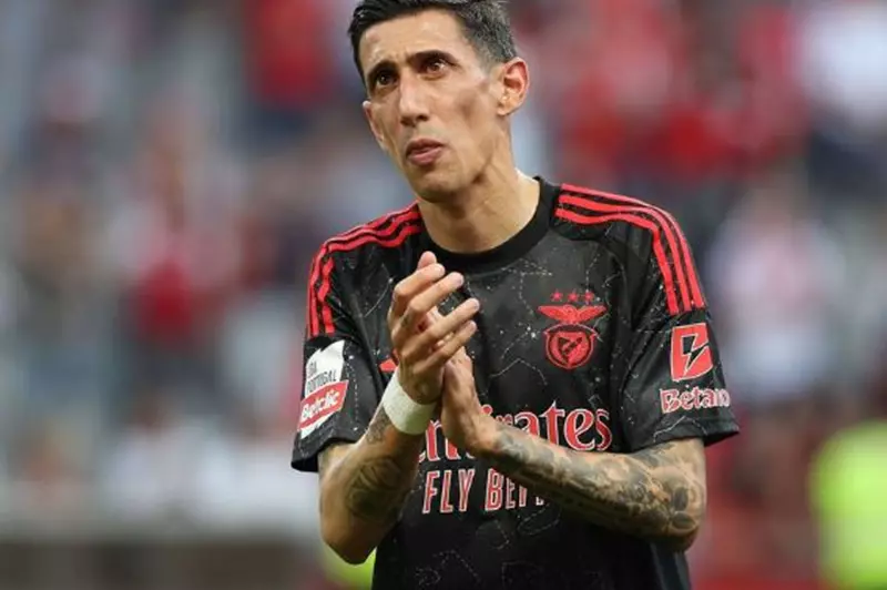 رسميًا.. دي ماريا يعلن رحيله عن بنفيكا البرتغالي