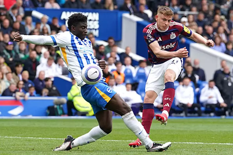 خارج أرضه.. نيوكاسل يتعثر أمام برايتون في الدوري الإنجليزي